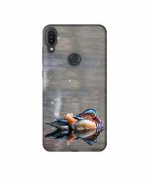 Amazon Brand - Solimo Designer Duck 3D Printed Hard Back Case Mobile Cover for Asus Zenfone Max Pro M1 ZB601KL