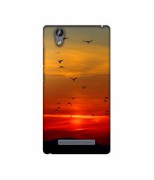 Amazon Brand - Solimo Designer Group Birds 3D Printed Hard Back Case Mobile Cover for Gionee F103