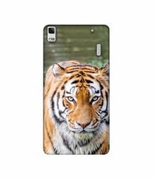 Amazon Brand - Solimo Designer Tiger in Water 3D Printed Hard Back Case Mobile Cover for Lenovo K3 Note