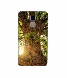 Amazon Brand - Solimo Designer Tree Trunk 3D Printed Hard Back Case Mobile Cover for Huawei Honor 5c