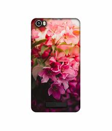 Amazon Brand - Solimo Designer Blossom Weather UV Printed Soft Back Case Mobile Cover for Lava Iris X8