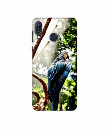 Amazon Brand - Solimo Designer Macaw Parrot 3D Printed Hard Back Case Mobile Cover for Asus Zenfone Max M1 ZB555KL