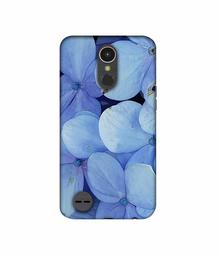 Amazon Brand - Solimo Designer Light Blue Flower Photography 3D Printed Hard Back Case Mobile Cover for LG K10 (2017)