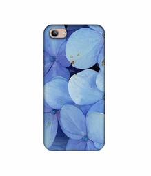 Amazon Brand - Solimo Designer Light Blue Flower Photography 3D Printed Hard Back Case Mobile Cover for Vivo Y81i