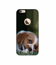 Amazon Brand - Solimo Designer Cute Puppy 3D Printed Hard Back Case Mobile Cover for Apple iPhone 6 / 6S (Logo Cut)