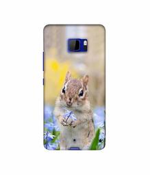 Amazon Brand - Solimo Designer Squirrel 3D Printed Hard Back Case Mobile Cover for HTC U Ultra