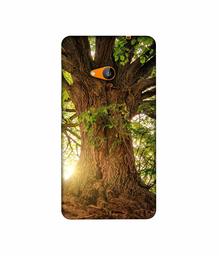 Amazon Brand - Solimo Designer Tree Trunk 3D Printed Hard Back Case Mobile Cover for Microsoft Lumia 535