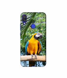 Amazon Brand - Solimo Designer Macaw Bird 3D Printed Hard Back Case Mobile Cover for Xiaomi Redmi Note 7 Pro