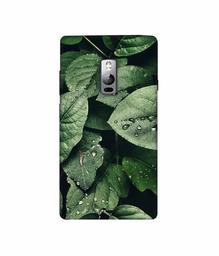 Amazon Brand - Solimo Designer Leafs 3D Printed Hard Back Case Mobile Cover for OnePlus 2