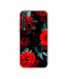 Amazon Brand - Solimo Designer Rose Photography UV Printed Soft Back Case Mobile Cover for Motorola Moto G8 Plus