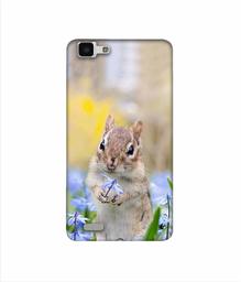 Amazon Brand - Solimo Designer Squirrel 3D Printed Hard Back Case Mobile Cover for Vivo Y27L