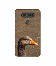 Amazon Brand - Solimo Designer Duck Face 3D Printed Hard Back Case Mobile Cover for LG V20