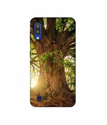 Amazon Brand - Solimo Designer Tree Trunk 3D Printed Hard Back Case Mobile Cover for Samsung Galaxy M10