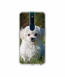 Amazon Brand - Solimo Designer White Dog UV Printed Soft Back Case Mobile Cover for Oppo F11 Pro