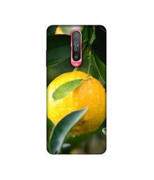 Amazon Brand - Solimo Designer Lemon 3D Printed Hard Back Case Mobile Cover for Poco X2 / Mi Redmi K30