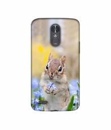 Amazon Brand - Solimo Designer Squirrel 3D Printed Hard Back Case Mobile Cover for LG Stylus 3