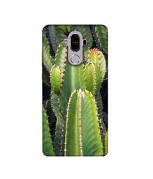 Amazon Brand - Solimo Designer Desert Plant 3D Printed Hard Back Case Mobile Cover for Huawei Mate 9