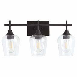 Stone & Beam Modern Steel-Framed Vanity Light with Clear Blown-Glass Shade, 10.68