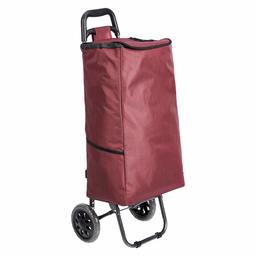 AmazonBasics Winkelwagen 40L 1 wiel met aluminium handgrepen