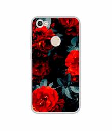 Amazon Brand - Solimo Designer Rose Photography UV Printed Soft Back Case Mobile Cover for Mi Redmi Y1 (Note 5A)