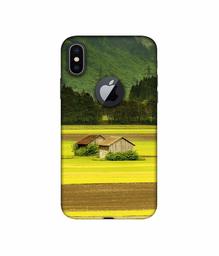 Amazon Brand - Solimo Designer Valley View 3D Printed Hard Back Case Mobile Cover for Apple iPhone X (Logo Cut)