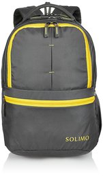 Amazon Brand - Solimo 25 Ltrs Grey Casual Backpack