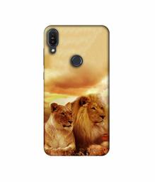 Amazon Brand - Solimo Designer Lion with Lioness 3D Printed Hard Back Case Mobile Cover for Asus Zenfone Max Pro M1 ZB601KL