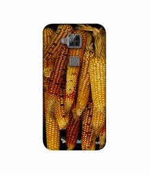 Amazon Brand - Solimo Designer Corns 3D Printed Hard Back Case Mobile Cover for Huawei G8