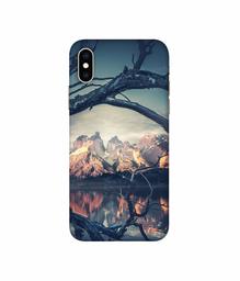 Amazon Brand - Solimo Designer Tree Reflextion 3D Printed Hard Back Case Mobile Cover for Apple iPhone Xs Max