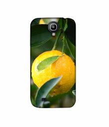 Amazon Brand - Solimo Designer Lemon 3D Printed Hard Back Case Mobile Cover for Samsung Galaxy S4 GT i9500