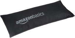 AmazonBasics Car Dehumidifier