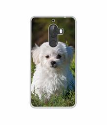 Amazon Brand - Solimo Designer White Dog UV Printed Soft Back Case Mobile Cover for 10.or G