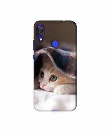 Amazon Brand - Solimo Designer Sleepy Kitten 3D Printed Hard Back Case Mobile Cover for Mi Redmi Note 7 / Note 7S / Note 7 Pro