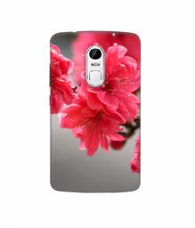 Amazon Brand - Solimo Designer Blossom Like Flower 3D Printed Hard Back Case Mobile Cover for Lenovo Vibe X3