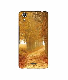 Amazon Brand - Solimo Designer Autumn Scene 3D Printed Hard Back Case Mobile Cover for Micromax Canvas Selfie Lens Q345