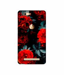 Amazon Brand - Solimo Designer Rose Photography 3D Printed Hard Back Case Mobile Cover for Gionee F103 Pro