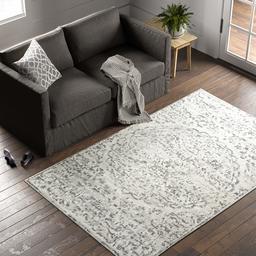 Stone & Beam Contemporary Floral Medallion Rug, 5' x 8', Grey