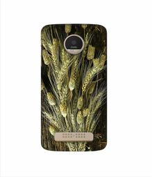 Amazon Brand - Solimo Designer Wheat Plants 3D Printed Hard Back Case Mobile Cover for Motorola Moto Z Play