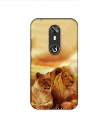 Amazon Brand - Solimo Designer Lion with Lioness 3D Printed Hard Back Case Mobile Cover for Gionee A1