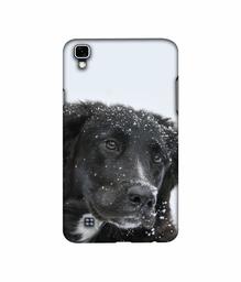 Amazon Brand - Solimo Designer Labrador Dog 3D Printed Hard Back Case Mobile Cover for LG X Power