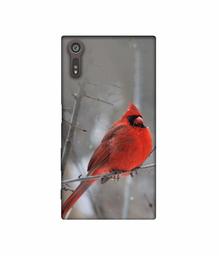 Amazon Brand - Solimo Designer Red Engry Bird 3D Printed Hard Back Case Mobile Cover for Sony Xperia XZ Dual