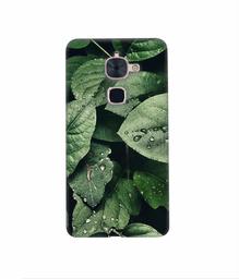 Amazon Brand - Solimo Designer Leafs 3D Printed Hard Back Case Mobile Cover for LeTV Le 2