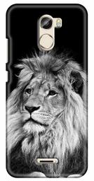 Amazon Brand - Solimo Designer Lion Design 3D Printed Hard Back Case Mobile Cover for Gionee X1