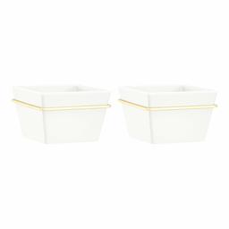 AmazonBasics Wall Planter, Square - White/Brass (2-Pack)