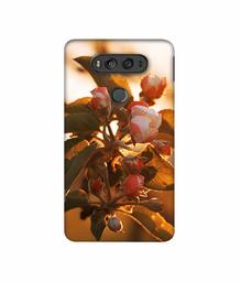 Amazon Brand - Solimo Designer Flowers 3D Printed Hard Back Case Mobile Cover for LG V20