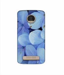 Amazon Brand - Solimo Designer Light Blue Flower Photography 3D Printed Hard Back Case Mobile Cover for Motorola Moto Z Play