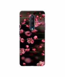 Amazon Brand - Solimo Designer Pink Flowers 3D Printed Hard Back Case Mobile Cover for OnePlus 7T Pro