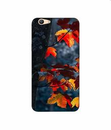 Amazon Brand - Solimo Designer Autumn Leaf 3D Printed Hard Back Case Mobile Cover for Oppo F1s