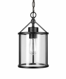 Amazon Brand - Ravenna Home Single-Light Outdoor Pendant Light with Clear Glass Shade, Vintage Edison Bulb Included, 14.1