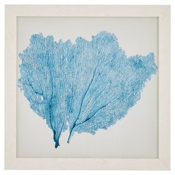 Amazon Brand – Stone & Beam Classic Aqua Sea Fan Coral Coastal Print Wall Art Decor - 23